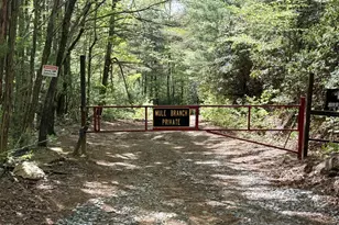 881 Mule Branch Rd, Helen, GA 30545 - Photo 41