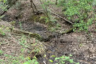 881 Mule Branch Rd, Helen, GA 30545 - Photo 35