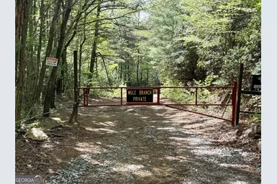 881 Mule Branch Road, Helen, GA 30545 - Photo 41