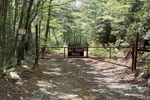 881 Mule Branch Rd, Helen, GA 30545 - Photo 41