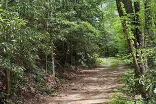 881 Mule Branch Rd, Helen, GA 30545 - Photo 39
