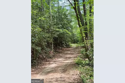881 Mule Branch Road, Helen, GA 30545 - Photo 39