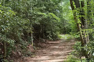 881 Mule Branch Rd, Helen, GA 30545 - Photo 39