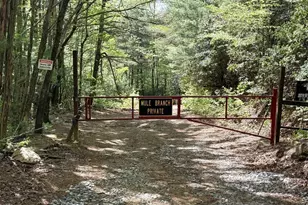 881 Mule Branch Rd, Helen, GA 30545 - Photo 41