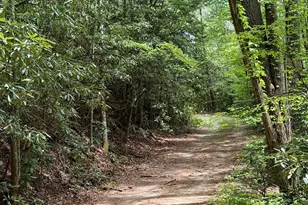 881 Mule Branch Rd, Helen, GA 30545 - Photo 39