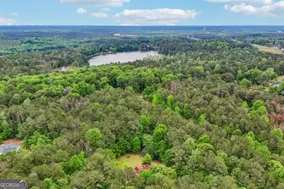 378 Pierce Chapel Road, Newnan, GA 30263 - Photo 59