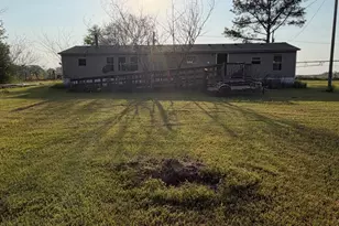 5733 Raven Gray Ln, Donalsonville, GA 39845 - Photo 3