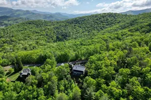 2406 Big Cove Dr, Hiawassee, GA 30546 - Photo 61