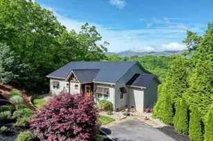 2406 Big Cove Dr, Hiawassee, GA 30546 - Photo 3