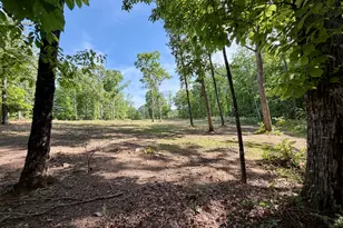8518 Downs Rd, Winston, GA 30187 - Photo 79