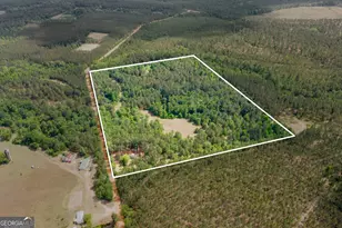 1059 Rabitsch Rd, Millen, GA 30442 - Photo 3