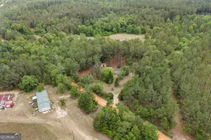 1059 Rabitsch Rd, Millen, GA 30442 - Photo 25