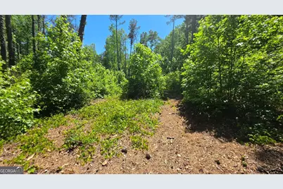 6099 Old Alabama Road SW, Austell, GA 30168 - Photo 3