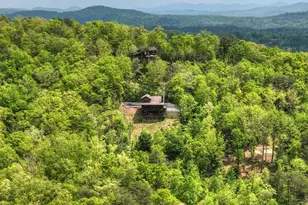 291 Tower Rd, Mineral Bluff, GA 30559 - Photo 11