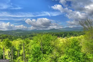 291 Tower Rd, Mineral Bluff, GA 30559 - Photo 5
