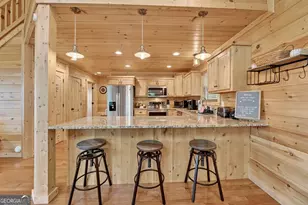 291 Tower Rd, Mineral Bluff, GA 30559 - Photo 27