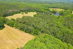 2754 Hwy 42 N, Forsyth, GA 31029 - Photo 55