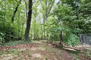 522 Woodland Rd, Elberton, GA 30635 - Photo 27