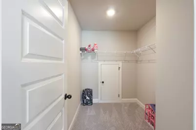 250 Cushing Street, Senoia, GA 30276 - Photo 27