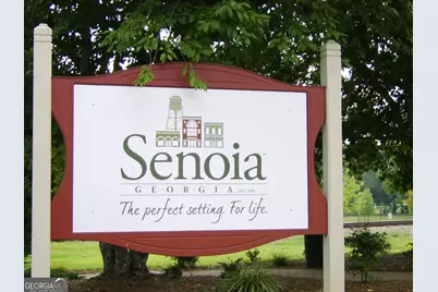 250 Cushing Street, Senoia, GA 30276 - Photo 53