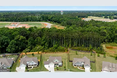 250 Cushing Street, Senoia, GA 30276 - Photo 47