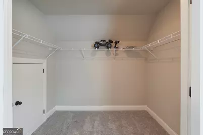 250 Cushing Street, Senoia, GA 30276 - Photo 31