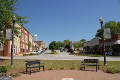 250 Cushing Street, Senoia, GA 30276 - Photo 55