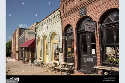 250 Cushing Street, Senoia, GA 30276 - Photo 59