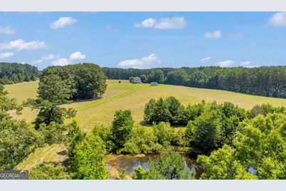 3248 Metasville Road, Washington, GA 30673 - Photo 19