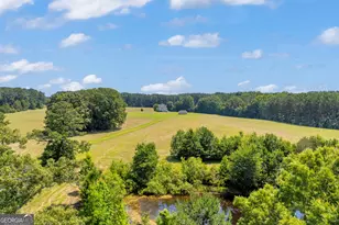 3248 Metasville Rd, Washington, GA 30673 - Photo 19