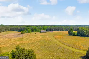 3248 Metasville Rd, Washington, GA 30673 - Photo 3