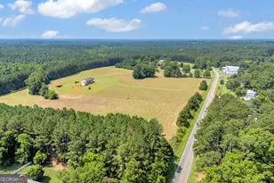 3248 Metasville Rd, Washington, GA 30673 - Photo 1