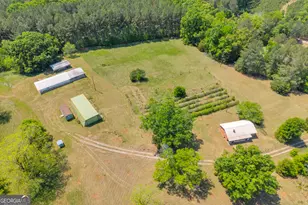 3248 Metasville Rd, Washington, GA 30673 - Photo 13