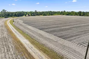 40 Azalea Dr, Hazlehurst, GA 31539 - Photo 21