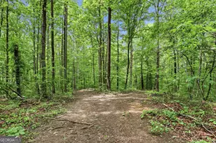 412 Tower Rd, Martin, GA 30557 - Photo 17