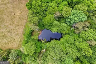 412 Tower Rd, Martin, GA 30557 - Photo 13