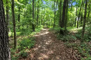 285 Wolf Den Rd, Royston, GA 30662 - Photo 57