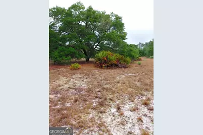 779 Ralph Davis Road #1 LAND LOT, Folkston, GA 31537 - Photo 19
