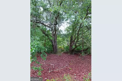 779 Ralph Davis Road #1 LAND LOT, Folkston, GA 31537 - Photo 3