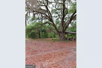 779 Ralph Davis Road #1 LAND LOT, Folkston, GA 31537 - Photo 9