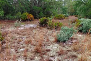 779 Ralph Davis Rd, Folkston, GA 31537 - Photo 11