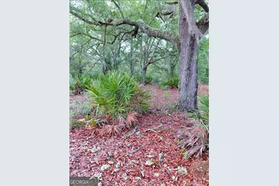 779 Ralph Davis Road, Folkston, GA 31537 - Photo 13