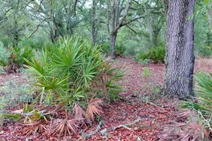 779 Ralph Davis Rd, Folkston, GA 31537 - Photo 13