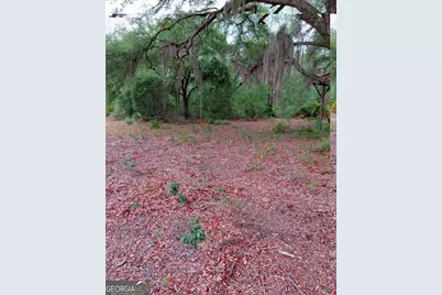 779 Ralph Davis Road, Folkston, GA 31537 - Photo 15