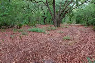 779 Ralph Davis Rd, Folkston, GA 31537 - Photo 9