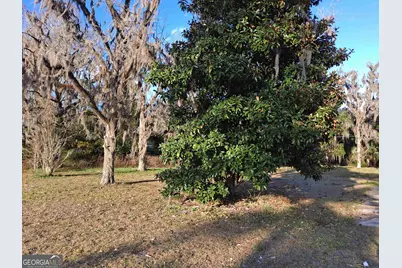 0 East Martin Street, Folkston, GA 31537 - Photo 1