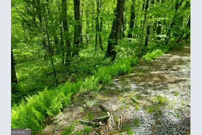 0 Lot 5 Rebel Circle, Sky Valley, GA 30537 - Photo 7
