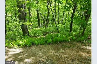 0 Lot 5 Rebel Circle, Sky Valley, GA 30537 - Photo 3