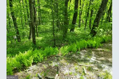 0 Lot 5 Rebel Circle, Sky Valley, GA 30537 - Photo 1
