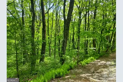 0 Lot 5 Rebel Circle, Sky Valley, GA 30537 - Photo 5